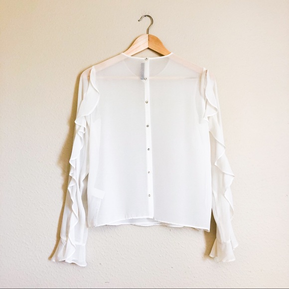 Zara Sheer Blouse - Picture 2 of 3